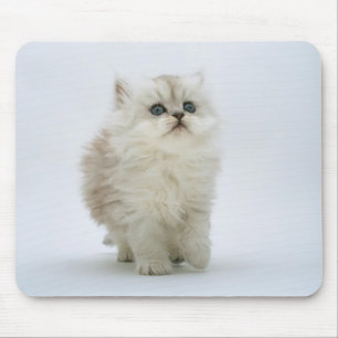 Gato Mousepad