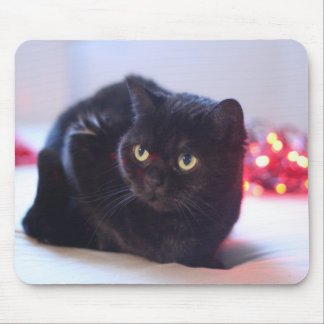 Gato Mousepad