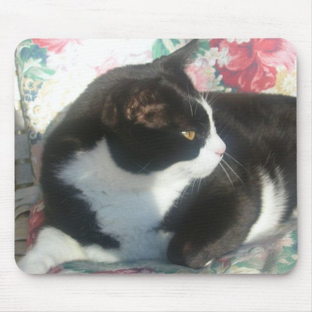 Gato Mousepad (Frente)