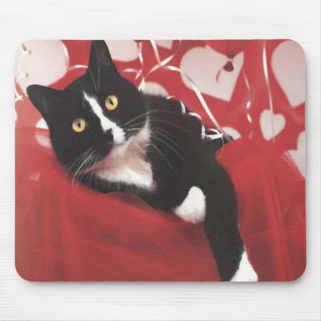 Gato Mousepad dos namorados (Frente)