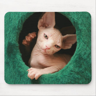 Gato Mousepad | GoSphynx.com de Sphynx