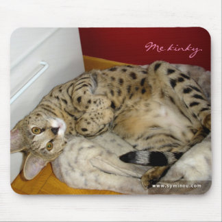 Gato Mousepad kinky do savana F1