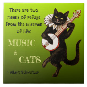 Gato Musical Fofo Dois Meios De Refúgio Schweitzer