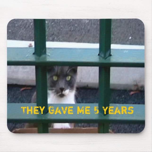 Gato na cadeia Mousepad (Frente)