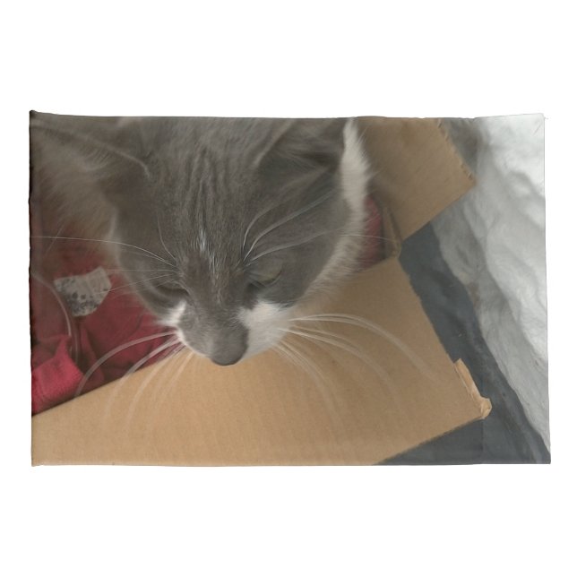 Gato na caixa (Parte Traseira - Direita)