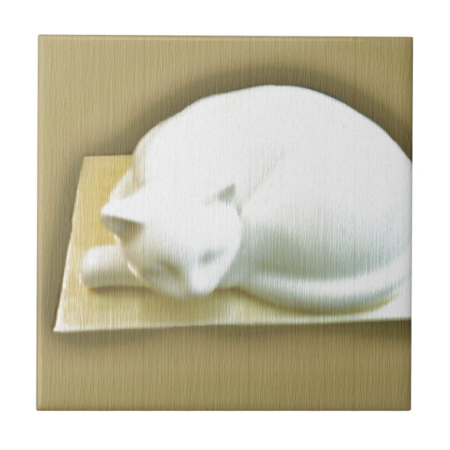 Gato na Dourada Caixa II (Frente)