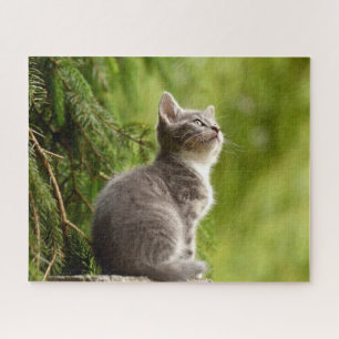 Gato na Natureza Quebra-cabeça