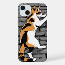 Gato na parede