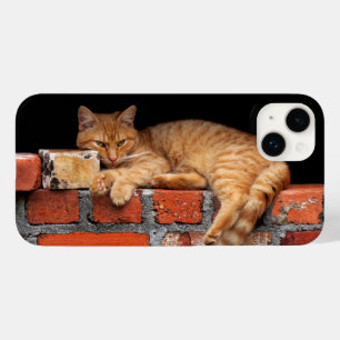 Gato na Parede Brick
