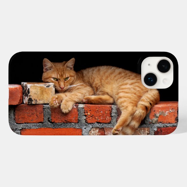 Gato na Parede Brick (Verso (horizontal))