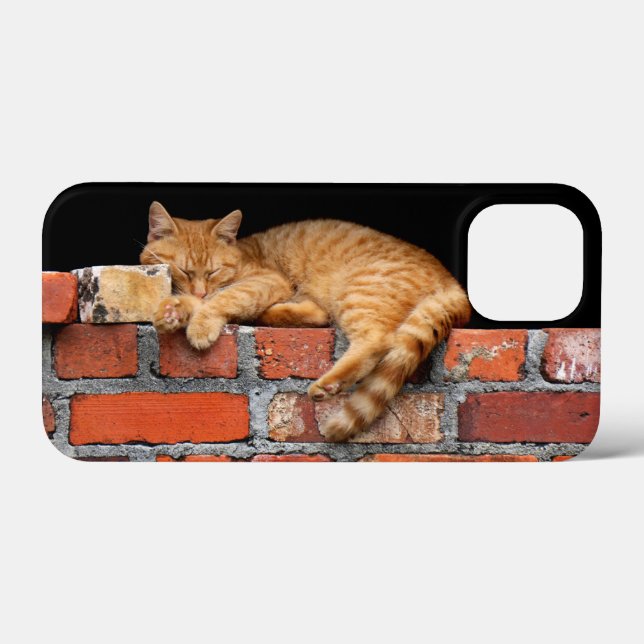 Gato na Parede Brick (Verso (horizontal))
