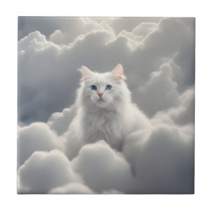 Gato nas nuvens