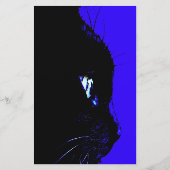 Gato Negro (Frente)