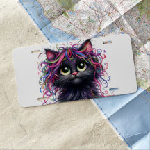 GATO NEGRO ADORÁVEL COM CABELO LOUCO