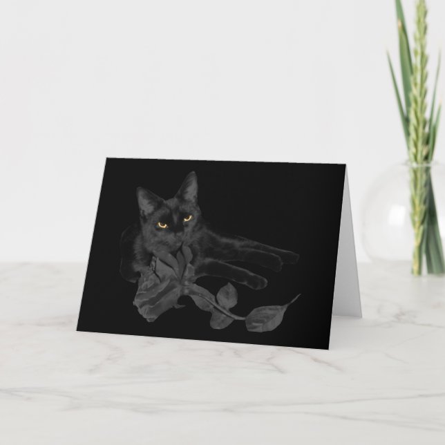 Gato negro, Cartão Rosa preto (Frente)