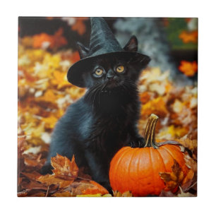 Gato Negro e Abóbora do Halloween
