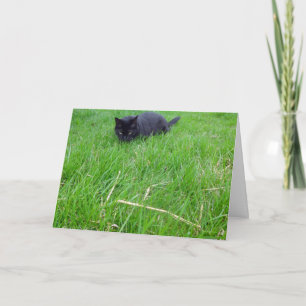 Gato Negro No Cartão De Aniversário De Grama