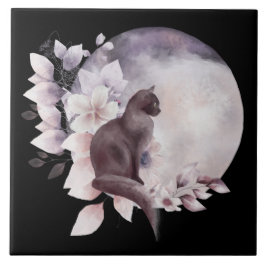 Gato Negro por uma Lua Mágica Cheia