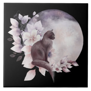 Gato Negro por uma Lua Mágica Cheia