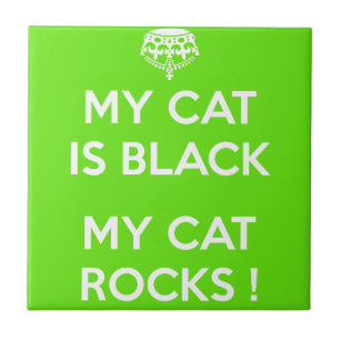 Gato negro rocha