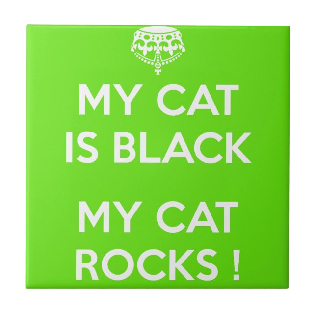 Gato negro rocha (Frente)