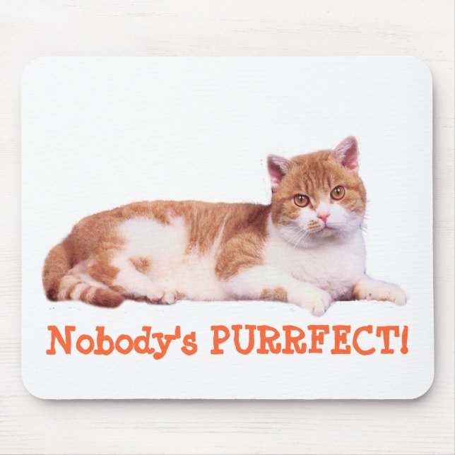 Gato ninguém Purrfect Mousepad (Frente)