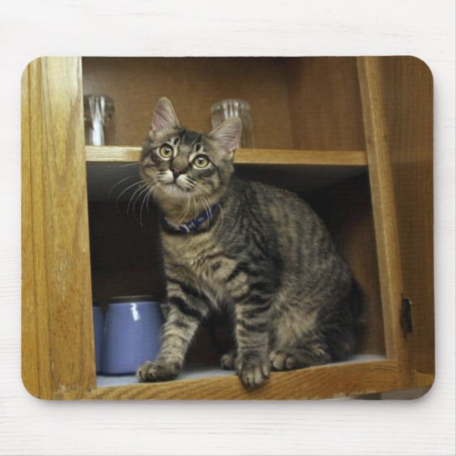 Gato no Mousepad Cupboard (Frente)