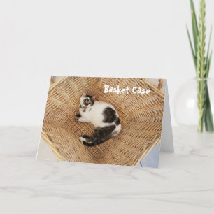 Gato num cartão de saudação