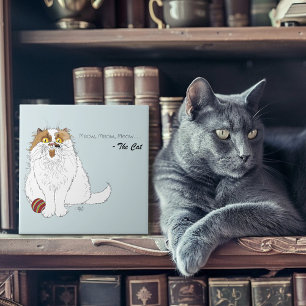 Gato Persa Fofinho e Felpudo Meow Azul Engraçado