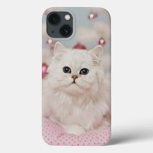 Gato persa que senta-se no travesseiro cor-de-rosa (Verso)