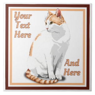 Gato Personalizado Laranja e Branco Gengibre