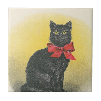 Gato preto
