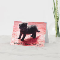 Gato preto bonito - cartão de aniversário engraçad