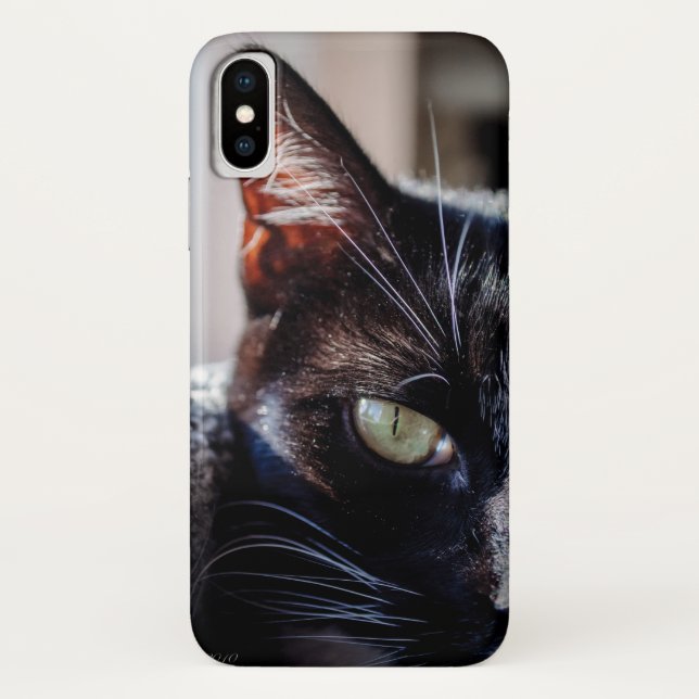 Gato preto com capas de iphone dos olhos verdes (Verso)