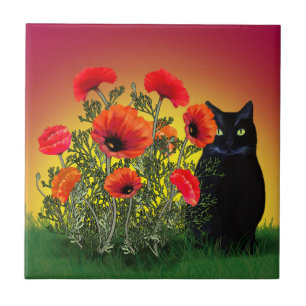Gato Preto com Poppies