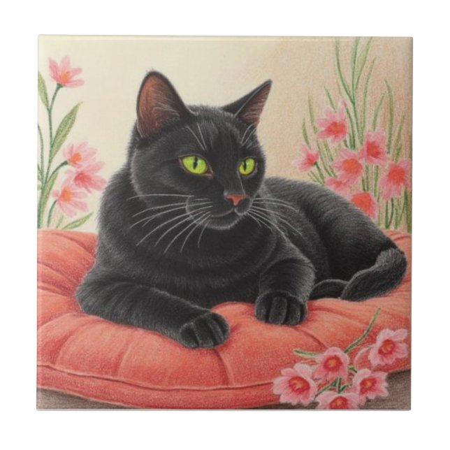 Gato preto descansando (Frente)