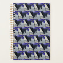 Gato Preto do Planejador