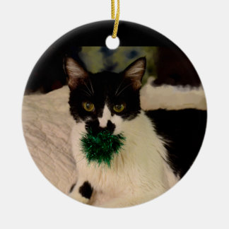 Gato preto e branco com ornamento da bola