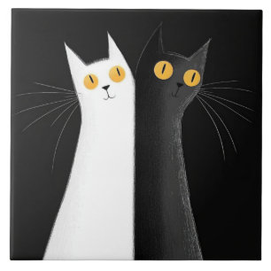 Gato Preto e Gato Branco em Preto