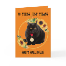 Gato Preto e Girassóis, Cartão Dobrado 13 x 18 cm