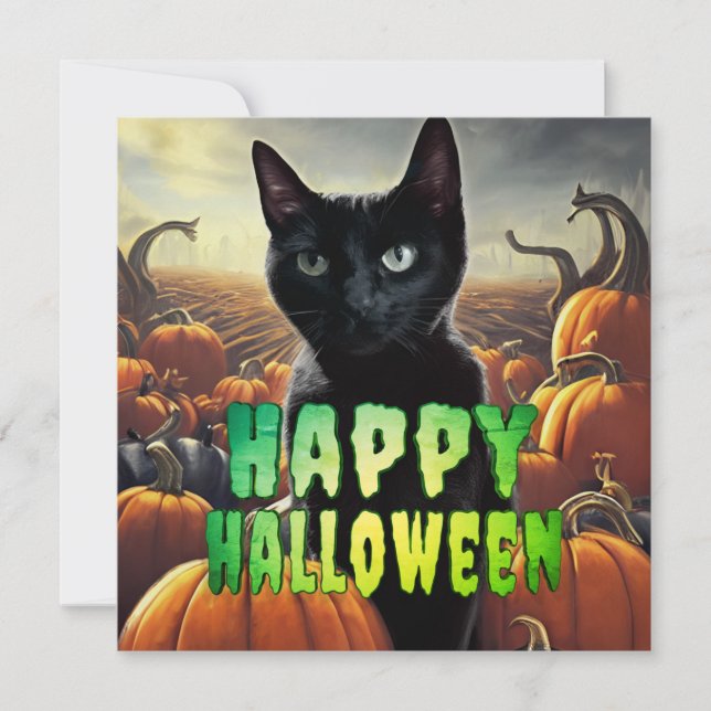 Gato Preto e Pumpkins (Frente)
