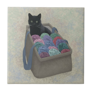 Gato preto em saco de fio