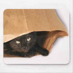 Gato preto em um mousepad do saco