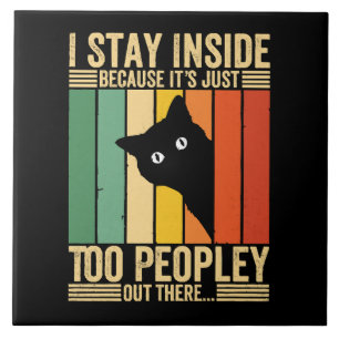 Gato Preto Fico Dentro de Casa Porque Está Muito C