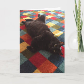 Gato Preto no Cartão de Aniversário do Rug