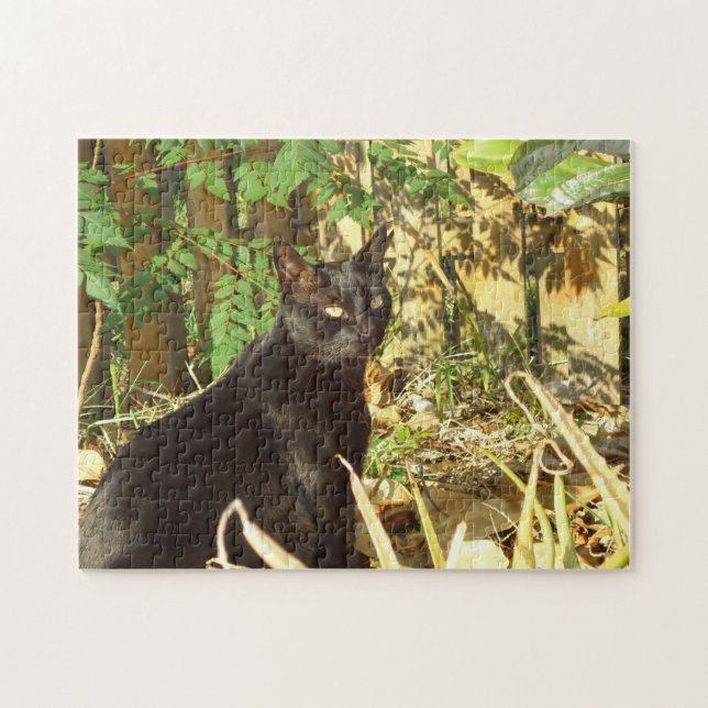 Gato preto no quebra-cabeça de Sun da manhã (Horizontal)