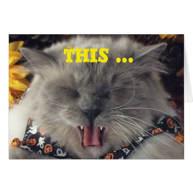 Gato que balança para fora à música, cartão (Frente Horizontal)