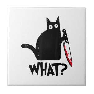 Gato Que_ Divertido Gato Preto