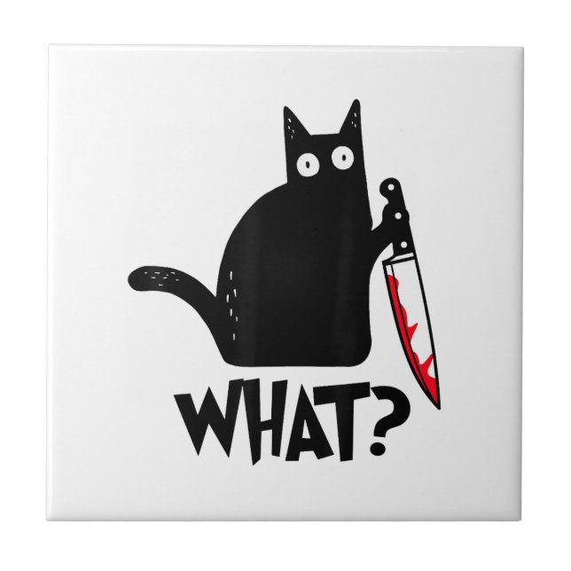 Gato Que_ Divertido Gato Preto (Frente)