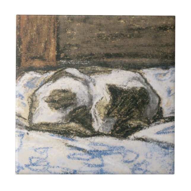 Gato que dorme em uma cama por Claude Monet (Frente)